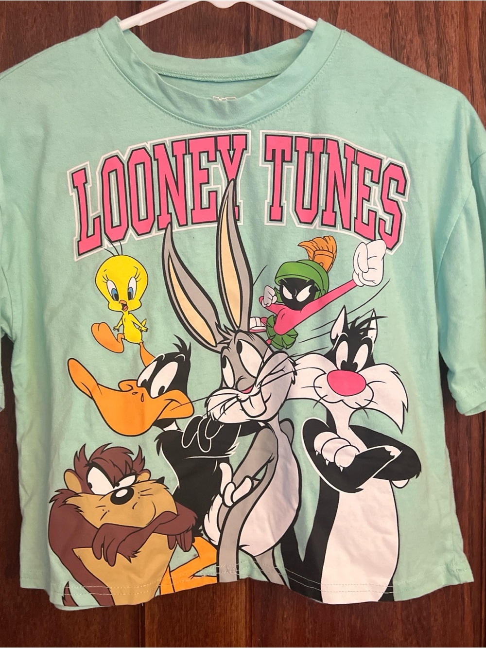 Warner Bros. Looney Tunes Mint Green Graphic Tee with Pink Logo
